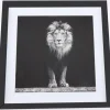 Aslan taulu, 50x50 cm