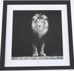 Aslan taulu, 50x50 cm