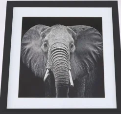 Ellie taulu, 50x50 cm