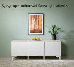 Hiipakka Anton kaappi 100cm, umpiovilla