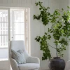Rowico Conroe lepotuoli, vaalea beige