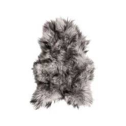 Silver lampaantalja, Icelandic
