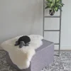 Sleepy vuoderahi, paljon eri värejä