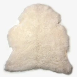 Valkoinen lampaantalja, Icelandic, lyhyt karva
